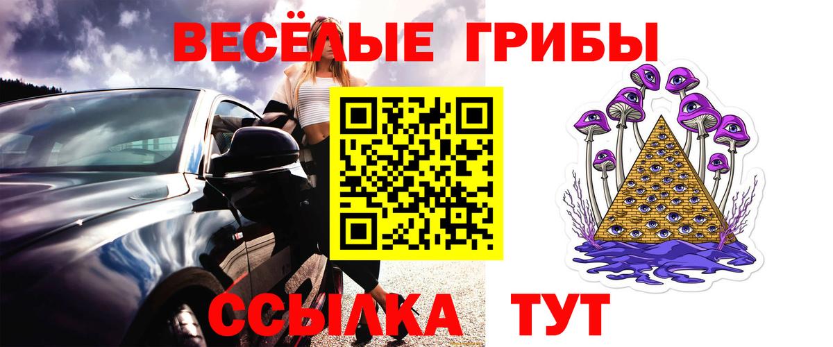 Галлюциногенные грибы ЛСД Знаменск