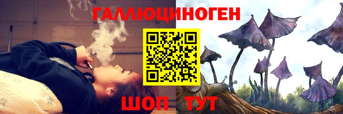 Галлюциногенные грибы Psilocybe  Галлюциногенные грибы мицелий  Знаменск  Вход с VPN 