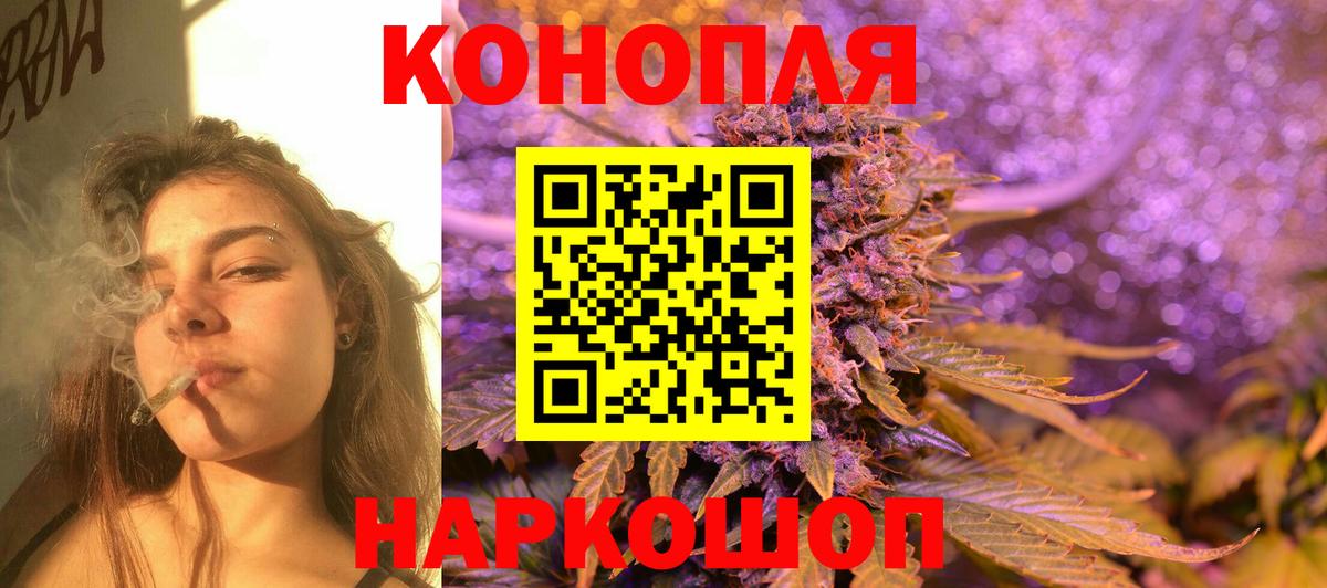 Знаменск  Шишки марихуана план  Вход с VPN  Шишки марихуана White Widow  Шишки марихуана индика  Марихуана SATIVA & INDICA 